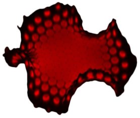 red dots on black ruffled shape